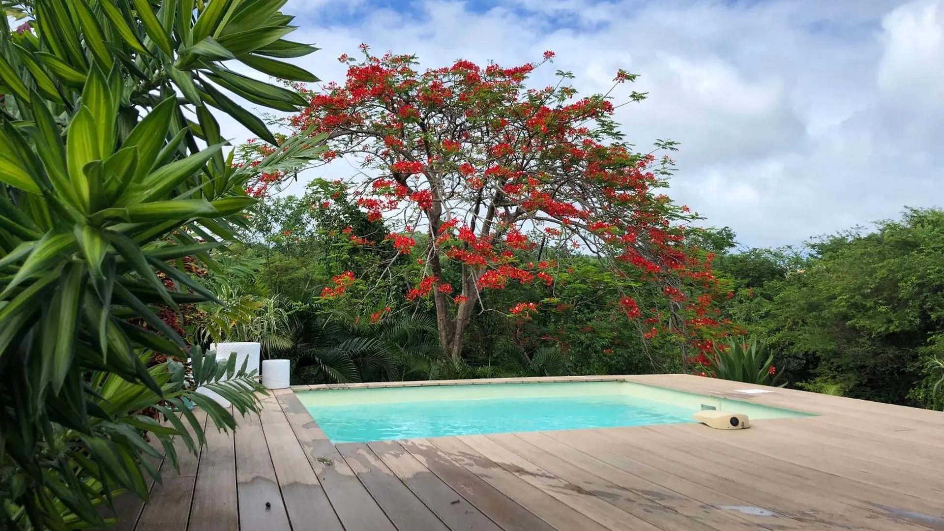 Flambloyant Villa Sainte-Luce Martinique