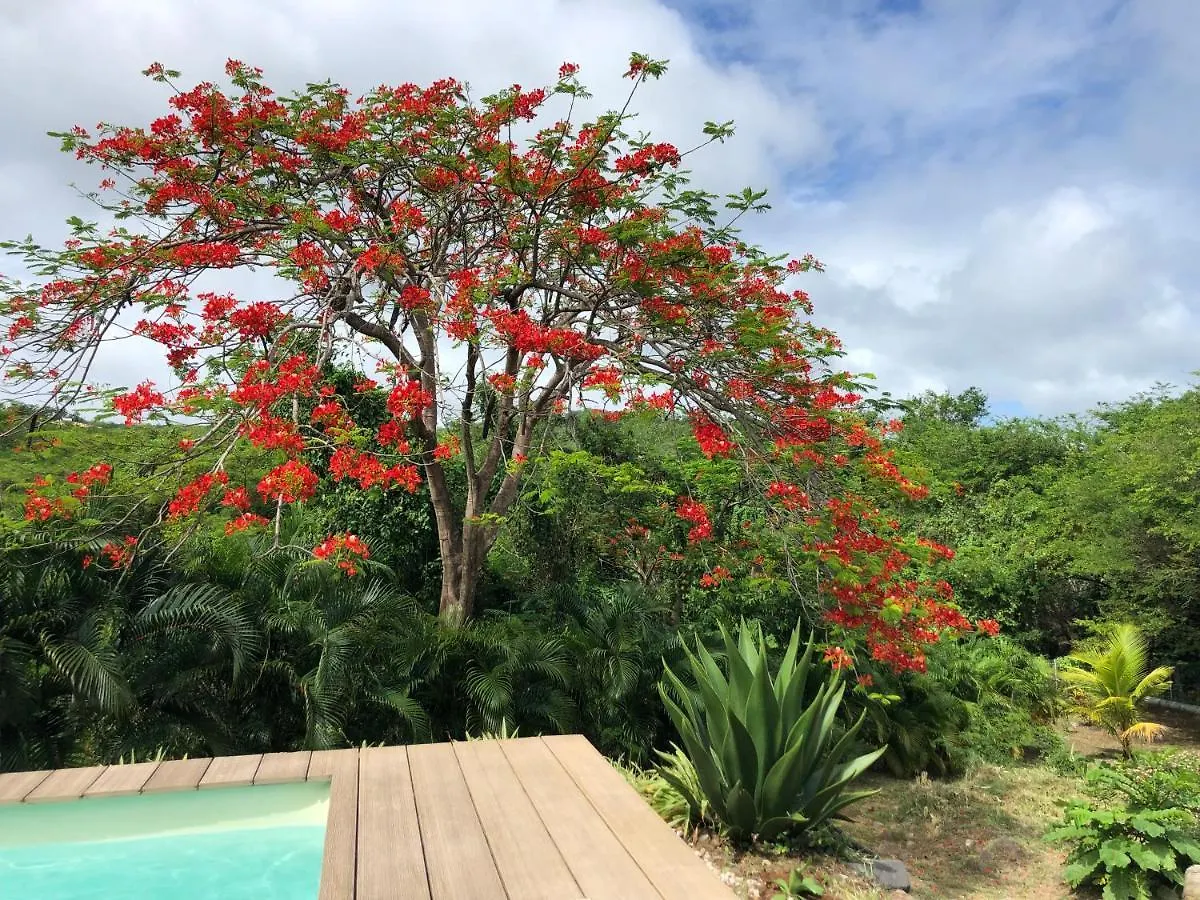 Flambloyant Villa Sainte-Luce 0*,  Martinique